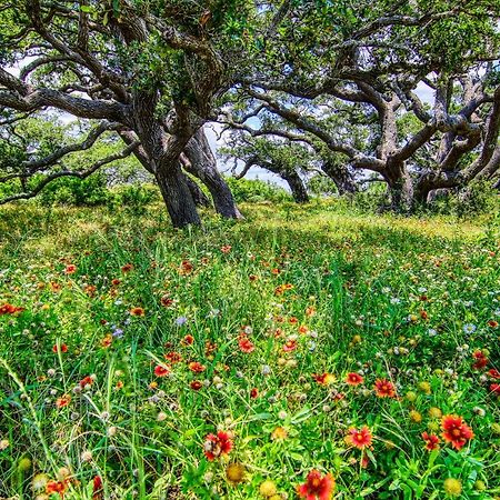 Coastal Hideway #B Βίλα Rockport Εξωτερικό φωτογραφία