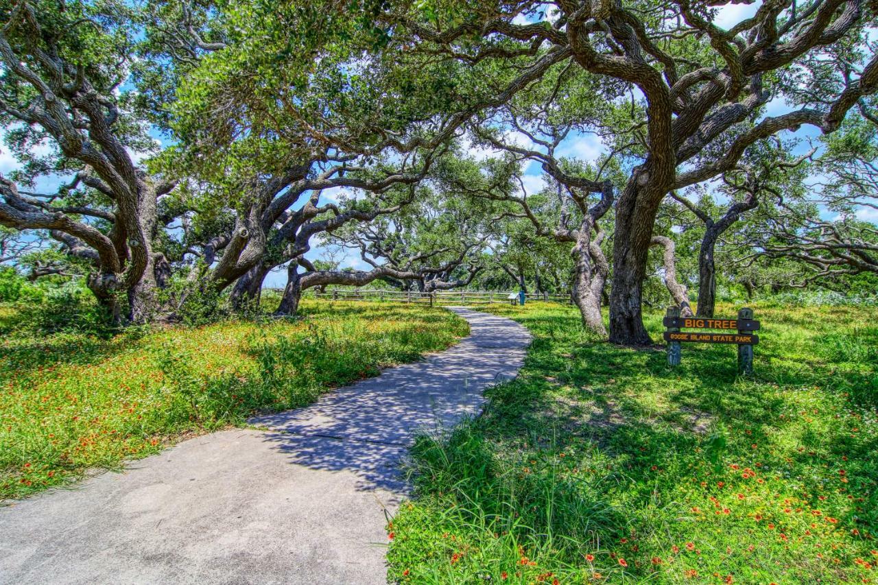 Coastal Hideway #B Βίλα Rockport Εξωτερικό φωτογραφία