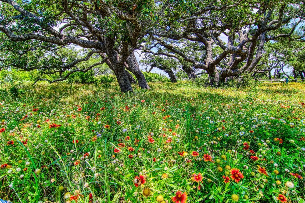 Coastal Hideway #B Βίλα Rockport Εξωτερικό φωτογραφία